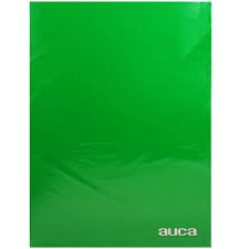Carpeta plastificada oficio, con gusano - Verde - Auca