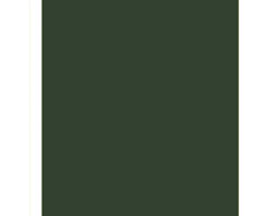 Forro (Empaste) duro cuadernos college Verde Musgo – Gandhi